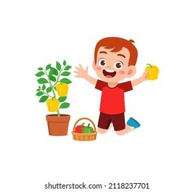 cute little boy harvest paprika in the garden