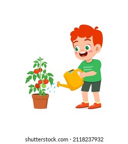 Cute Little Boy Stand And Watering Tomato Tree