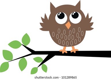 a cute little brown owl