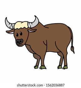 Cute little bull on white background