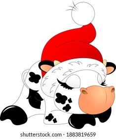 cute little bull, white with black spots, in a red cap