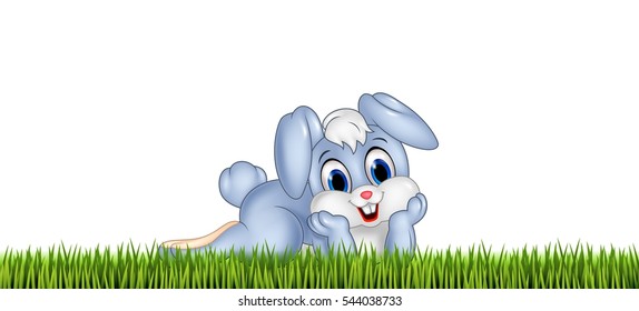 Cute little bunny