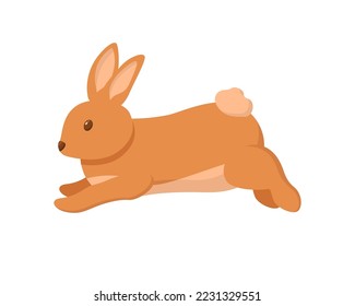 Cute little bunny jumping. Rabbit