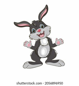 Cute little bunny rabbit isolated on white background