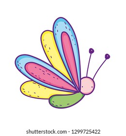 cute and little butterfly