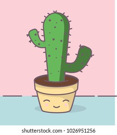 Cute little cactus 