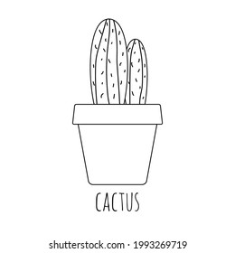 Cute little cactus icon. Vector illustration EPS10