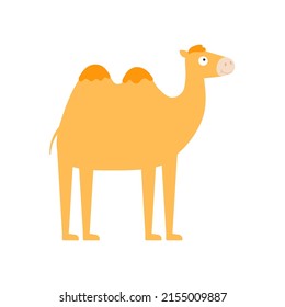 Cute little camel isolated. Cartoon animal character for kids cards, baby shower, invitation, poster, t-shirt, house decor. Vector stock illustration.