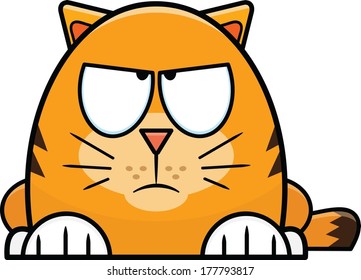 Cute little cartoon cat with a grumpy expression. 
