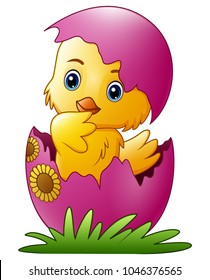 Cute little cartoon chick hatched from an egg isolated on a white background
