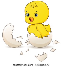 Cute little cartoon chick hatched from an egg isolated on a white background