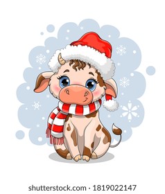 Cute little cartoon cow in winter snow wearing a scarf and Santa hat for a Christmas greeting card design, colored vector illustration
