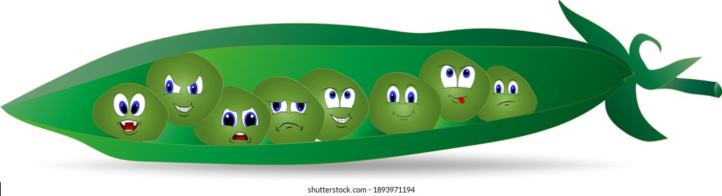 Cute little cartoon  green peas in a pod isolated on white background