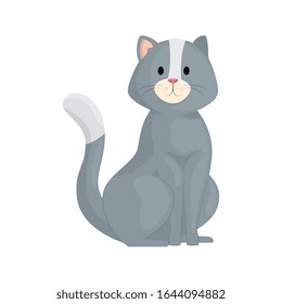 cute little cat animal icon vector illustration design