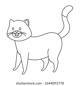 cute little cat animal line style icon vector illustration design