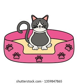 cute little cat in bed