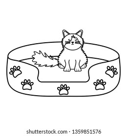 cute little cat in bed character