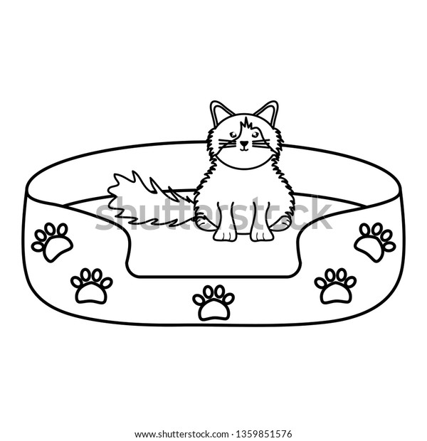 little cat bed