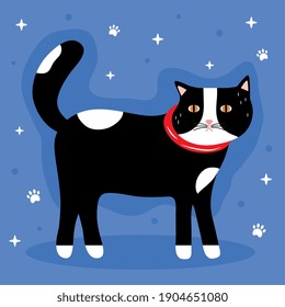 cute little cat black and white colors pet mascot vector illustration design