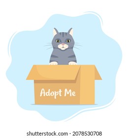 Cute little cat in a cardboard box with the inscription Adopt me. Adopt a pet. Cute homeless kitty waiting for the adoption. Vector illustration for animal shelter poster