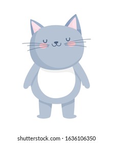 cute little cat cartoon character on white background vector illustration