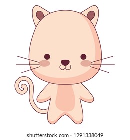 cute and little cat character