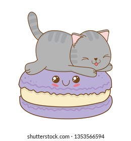 cute little cat with cookies kawaii character