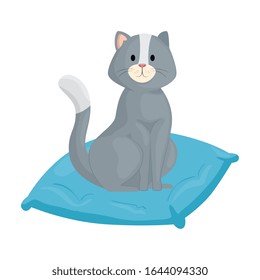 cute little cat in cushion isolated icon vector illustration design