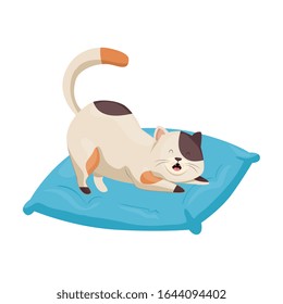 cute little cat in cushion isolated icon vector illustration design