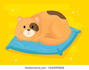 cute little cat in cushion vector illustration design