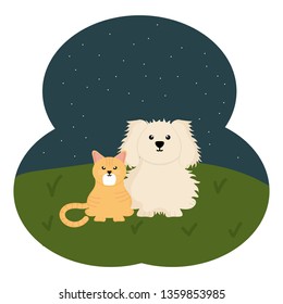 cute little cat and dog in the field