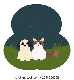 cute little cat and dog in the field