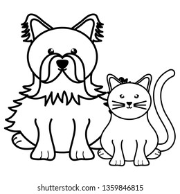 cute little cat and dog mascots