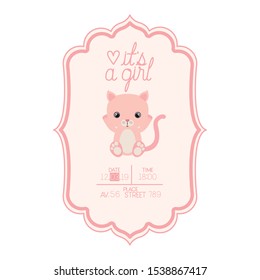 cute little cat in its a girl card vector illustration design