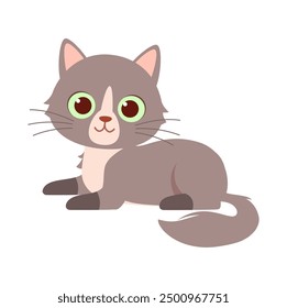 cute little cat with good quality and design