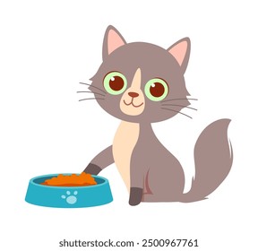 cute little cat with good quality and design