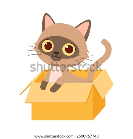 cute little cat with good quality and design