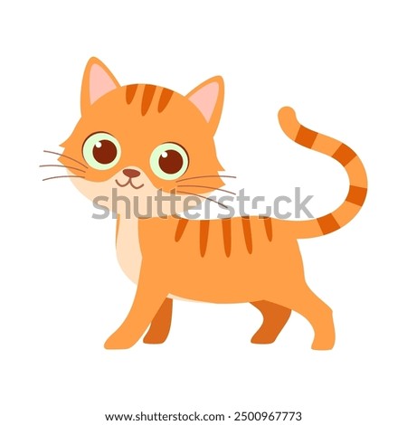 cute little cat with good quality and design