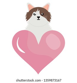 cute little cat with heart love character