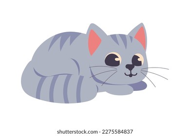 cute little cat icon isolated
