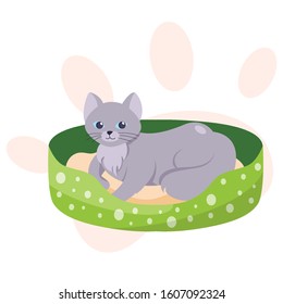 Cute little cat lying in cat bed. Kitten at home. Isolated flat vector illustration