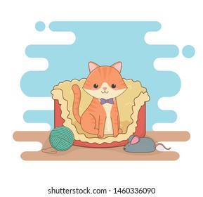 cute little cat mascot in bed with wool roll and mouse