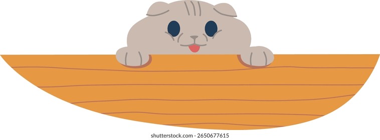 Cute little cat muzzle peeking