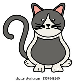 cute little cat pet character