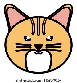 cute little cat pet head
