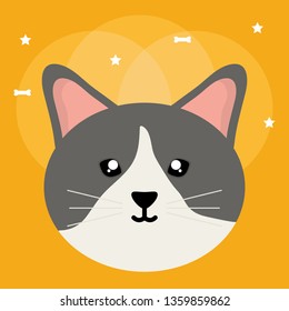 cute little cat pet head character