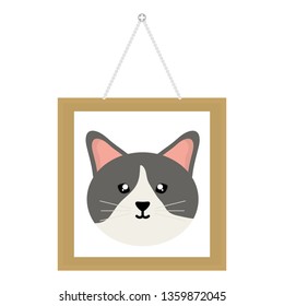 cute little cat pet in picture