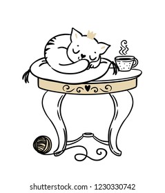 Cute little cat sleeping on the table