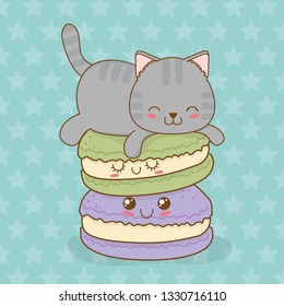 cute little cat with sweet donut kawaii character