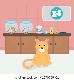 cute little cat in veterinary